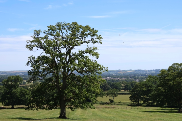 The Sentinel of Moreton