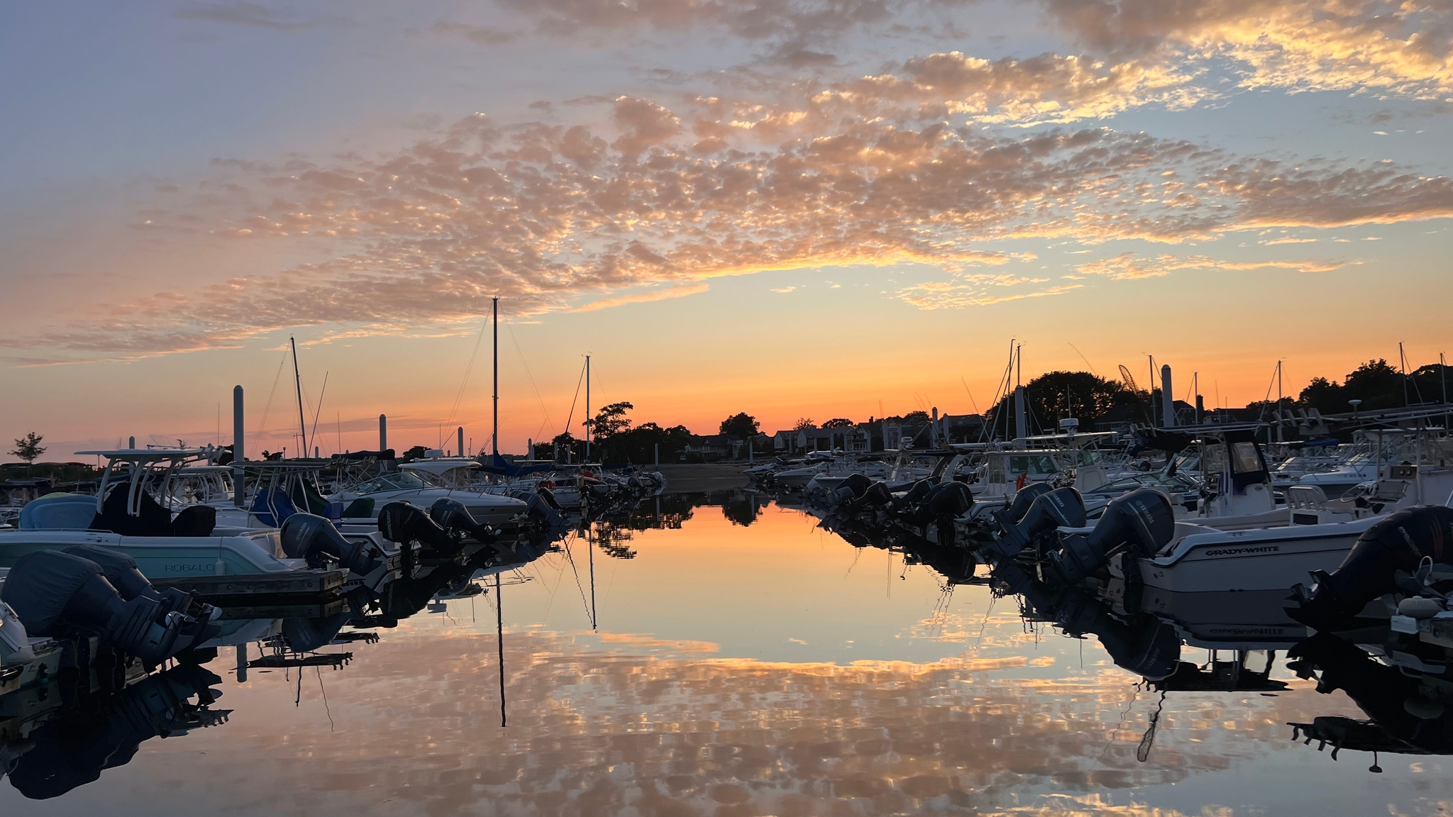 The Marina